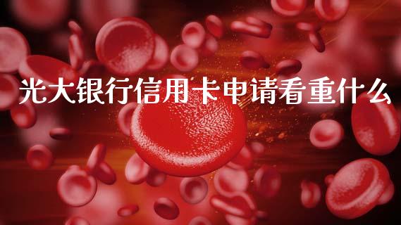 光大银行信用卡申请看重什么_https://m.eyunqq.com_基金交易_第1张
