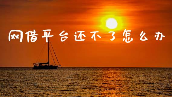 网借平台还不了怎么办_https://m.eyunqq.com_基金交易_第1张
