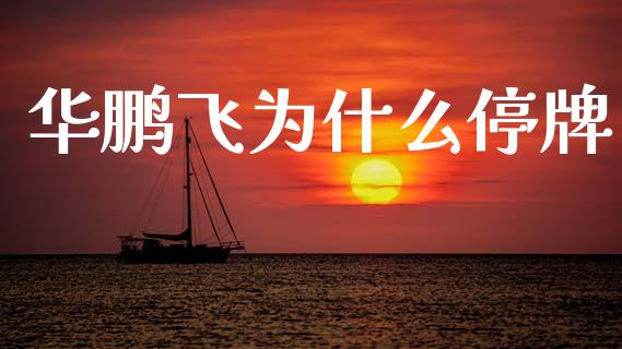 华鹏飞为什么停牌_https://m.eyunqq.com_新股申购_第1张