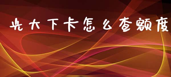 光大下卡怎么查额度_https://m.eyunqq.com_新股申购_第1张