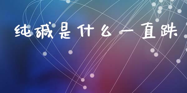 纯碱是什么一直跌_https://m.eyunqq.com_期货投资学习_第1张