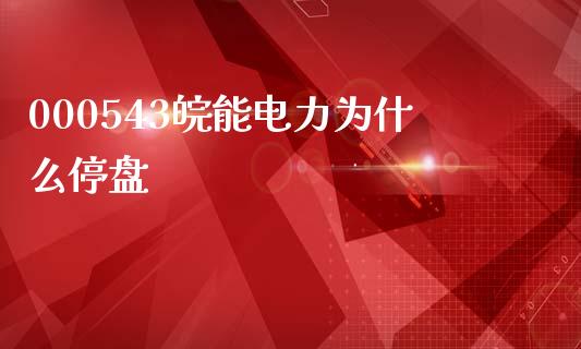 000543皖能电力为什么停盘_https://m.eyunqq.com_期货投资学习_第1张