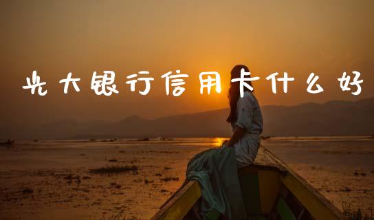 光大银行信用卡什么好_https://m.eyunqq.com_融资融券_第1张