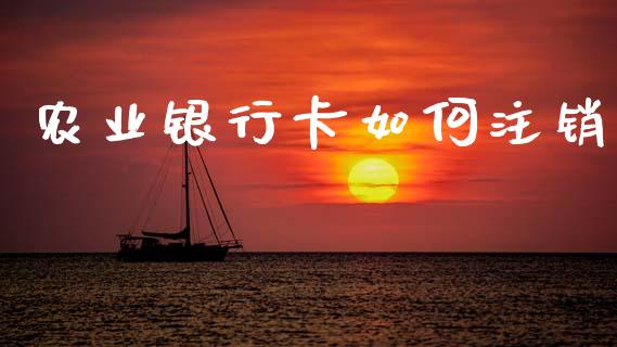 农业银行卡如何注销_https://m.eyunqq.com_期货投资学习_第1张