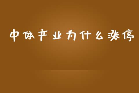中体产业为什么涨停_https://m.eyunqq.com_期货投资学习_第1张