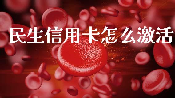 民生信用卡怎么激活_https://m.eyunqq.com_基金交易_第1张