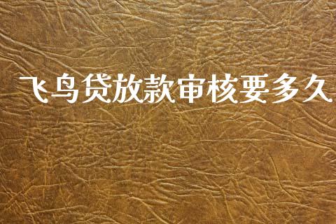 飞鸟贷放款审核要多久_https://m.eyunqq.com_融资融券_第1张