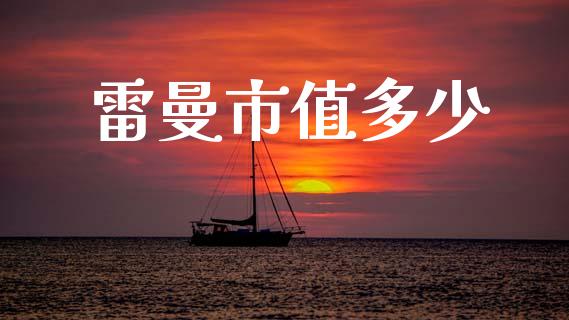雷曼市值多少_https://m.eyunqq.com_基金交易_第1张