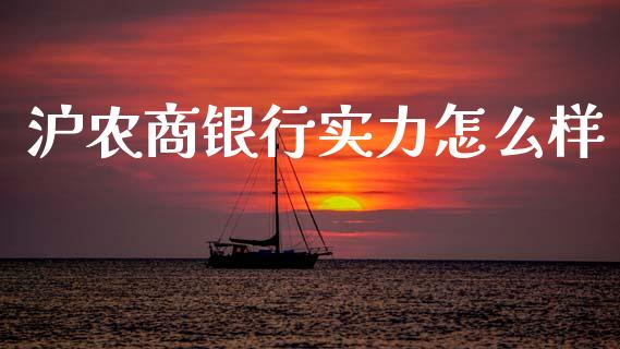 沪农商银行实力怎么样_https://m.eyunqq.com_基金交易_第1张