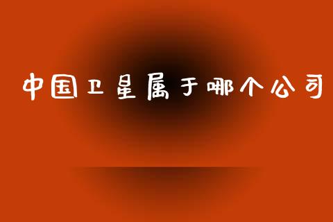 中国卫星属于哪个公司_https://m.eyunqq.com_新股申购_第1张