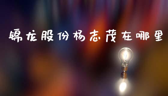 锦龙股份杨志茂在哪里_https://m.eyunqq.com_期货投资学习_第1张