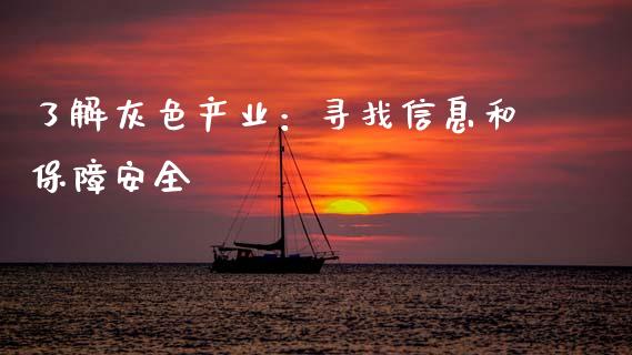 了解灰色产业：寻找信息和保障安全_https://m.eyunqq.com_期货投资学习_第1张