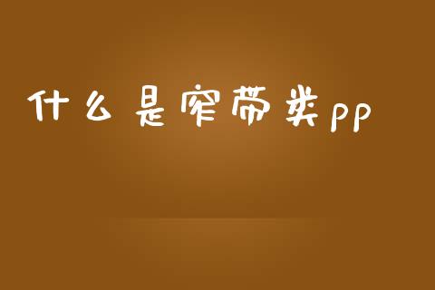 什么是窄带类pp_https://m.eyunqq.com_基金交易_第1张