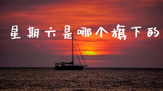 星期六是哪个旗下的_https://m.eyunqq.com_期货投资学习_第1张