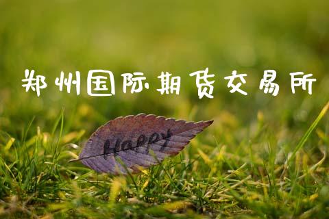 郑州国际期货交易所_https://m.eyunqq.com_融资融券_第1张