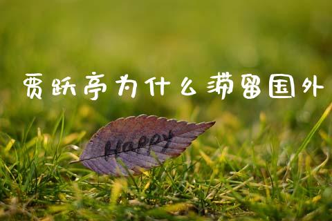 贾跃亭为什么滞留国外_https://m.eyunqq.com_基金交易_第1张