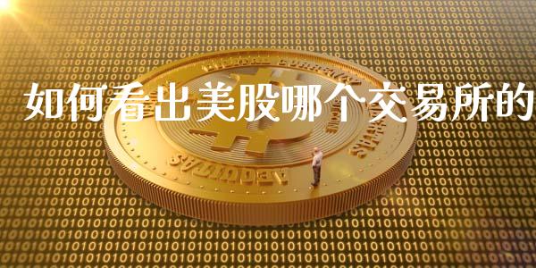 如何看出美股哪个交易所的_https://m.eyunqq.com_新股申购_第1张