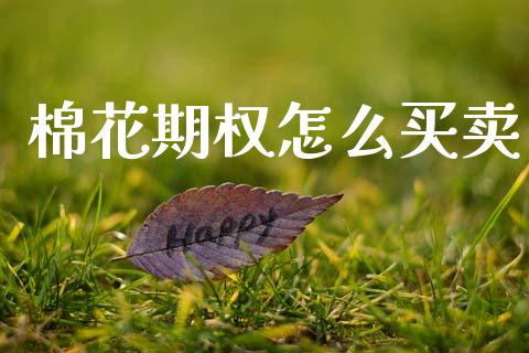 棉花期权怎么买卖_https://m.eyunqq.com_基金交易_第1张