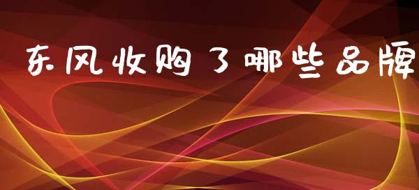 东风收购了哪些品牌_https://m.eyunqq.com_期货投资学习_第1张
