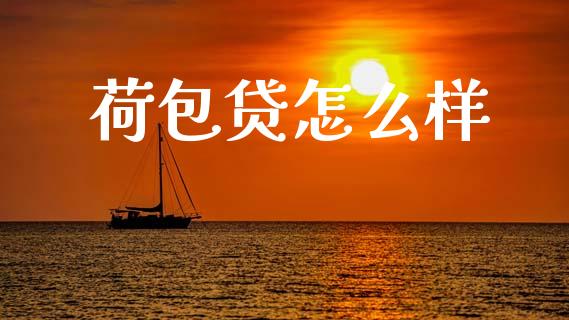 荷包贷怎么样_https://m.eyunqq.com_期货投资学习_第1张