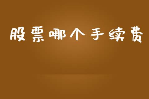 股票哪个手续费_https://m.eyunqq.com_期货投资学习_第1张