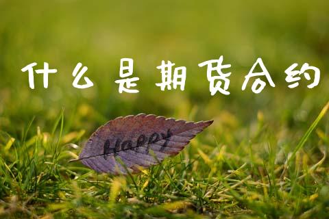 什么是期货合约_https://m.eyunqq.com_期货投资学习_第1张