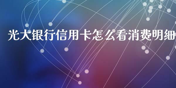 光大银行信用卡怎么看消费明细_https://m.eyunqq.com_新股申购_第1张