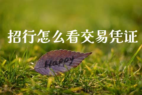 招行怎么看交易凭证_https://m.eyunqq.com_期货投资学习_第1张