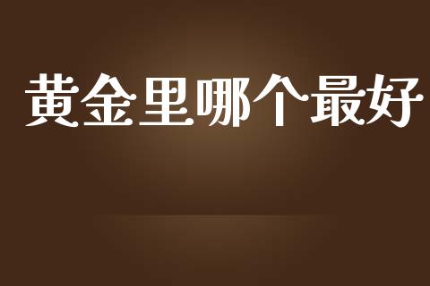 黄金里哪个最好_https://m.eyunqq.com_基金交易_第1张