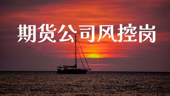 期货公司风控岗_https://m.eyunqq.com_期货投资学习_第1张