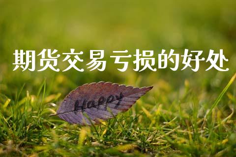 期货交易亏损的好处_https://m.eyunqq.com_基金交易_第1张