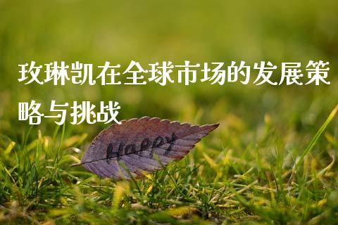 玫琳凯在全球市场的发展策略与挑战_https://m.eyunqq.com_期货投资学习_第1张