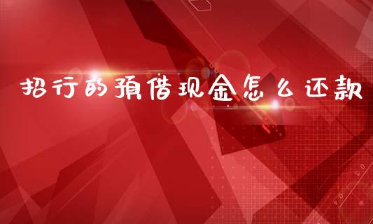 招行的预借现金怎么还款_https://m.eyunqq.com_期货投资学习_第1张
