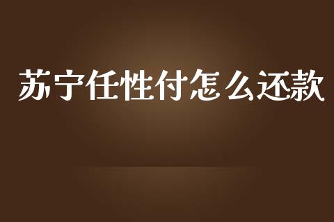 苏宁任性付怎么还款_https://m.eyunqq.com_基金交易_第1张