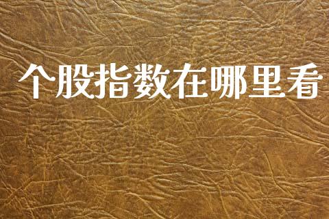 个股指数在哪里看_https://m.eyunqq.com_期货投资学习_第1张