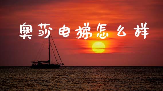 奥莎电梯怎么样_https://m.eyunqq.com_融资融券_第1张