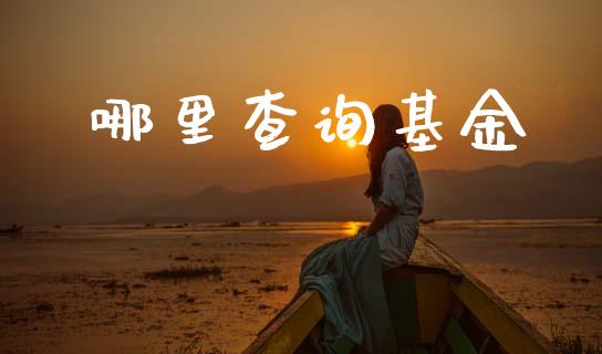 哪里查询基金_https://m.eyunqq.com_融资融券_第1张