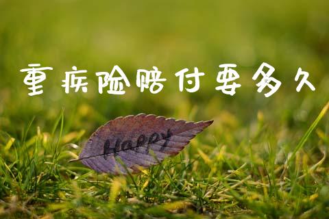 重疾险赔付要多久_https://m.eyunqq.com_新股申购_第1张