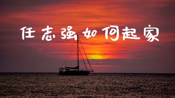 任志强如何起家_期货投资学习_第1张_期货投资学习_新股申购_融资融券_基金交易 任志强如何起家_https://m.eyunqq.com_期货投资学习_第1张