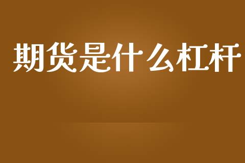 期货是什么杠杆_https://m.eyunqq.com_基金交易_第1张