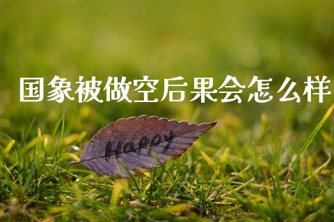 国象被做空后果会怎么样_https://m.eyunqq.com_期货投资学习_第1张