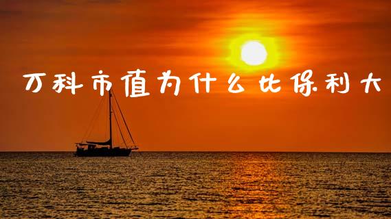 万科市值为什么比保利大_https://m.eyunqq.com_融资融券_第1张