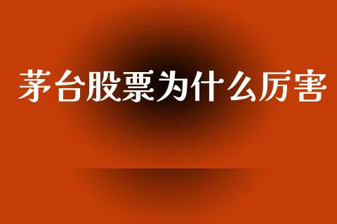 茅台股票为什么厉害_https://m.eyunqq.com_期货投资学习_第1张