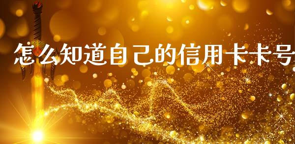 怎么知道自己的信用卡卡号_https://m.eyunqq.com_融资融券_第1张