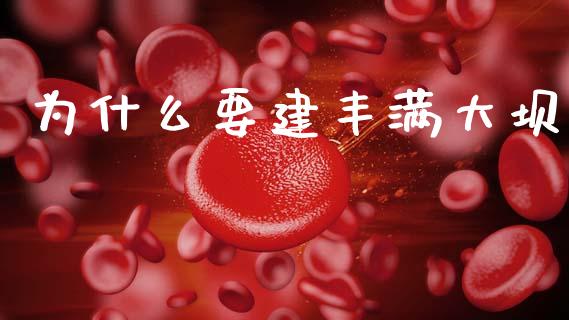 为什么要建丰满大坝_https://m.eyunqq.com_基金交易_第1张
