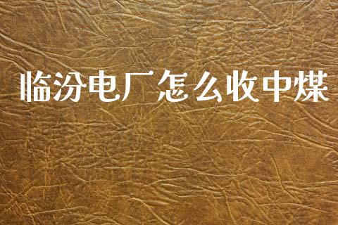 临汾电厂怎么收中煤_https://m.eyunqq.com_新股申购_第1张