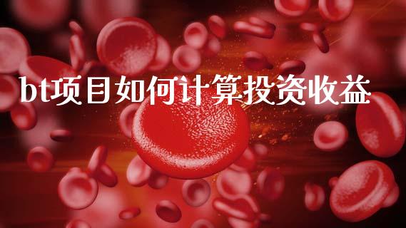 bt项目如何计算投资收益_基金交易_第1张_期货投资学习_新股申购_融资融券_基金交易 bt项目如何计算投资收益_https://m.eyunqq.com_基金交易_第1张