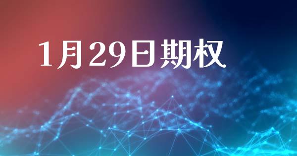 1月29日期权_https://m.eyunqq.com_基金交易_第1张