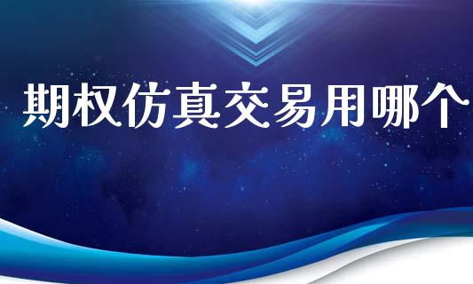 期权仿真交易用哪个_https://m.eyunqq.com_基金交易_第1张