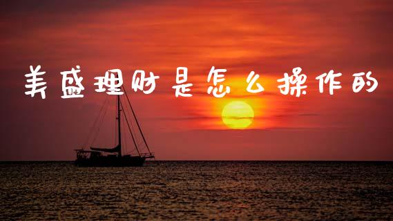 美盛理财是怎么操作的_https://m.eyunqq.com_基金交易_第1张
